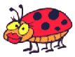 animated_ladybug_2.gif